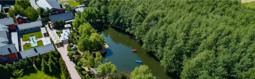 Leisure in the Forest of Kherson Region