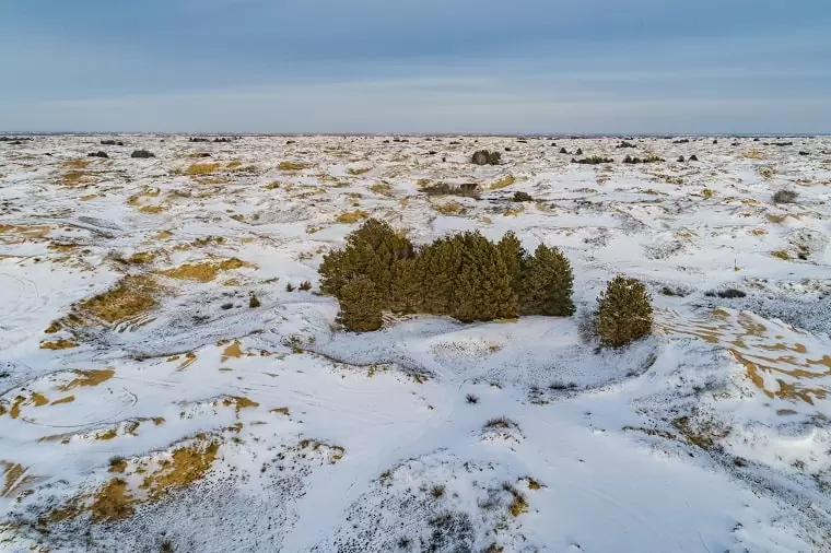Ukrainian desert in winter