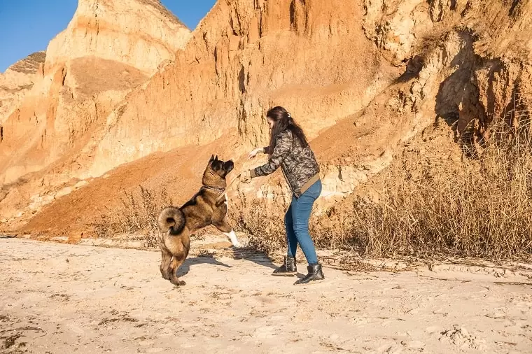 The best friend is always nearby